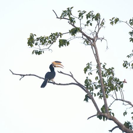 Pelican View Cottages Kataragama Buitenkant foto