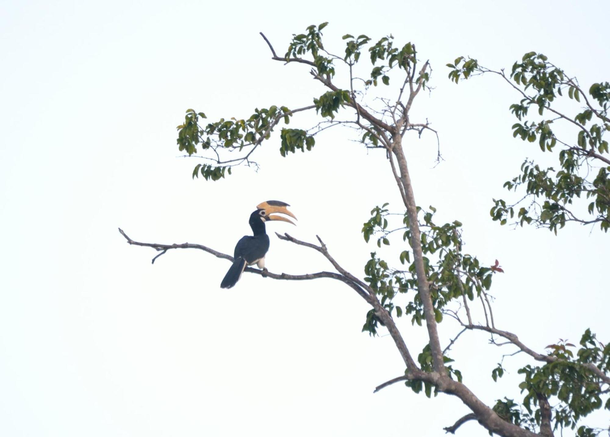 Pelican View Cottages Kataragama Buitenkant foto